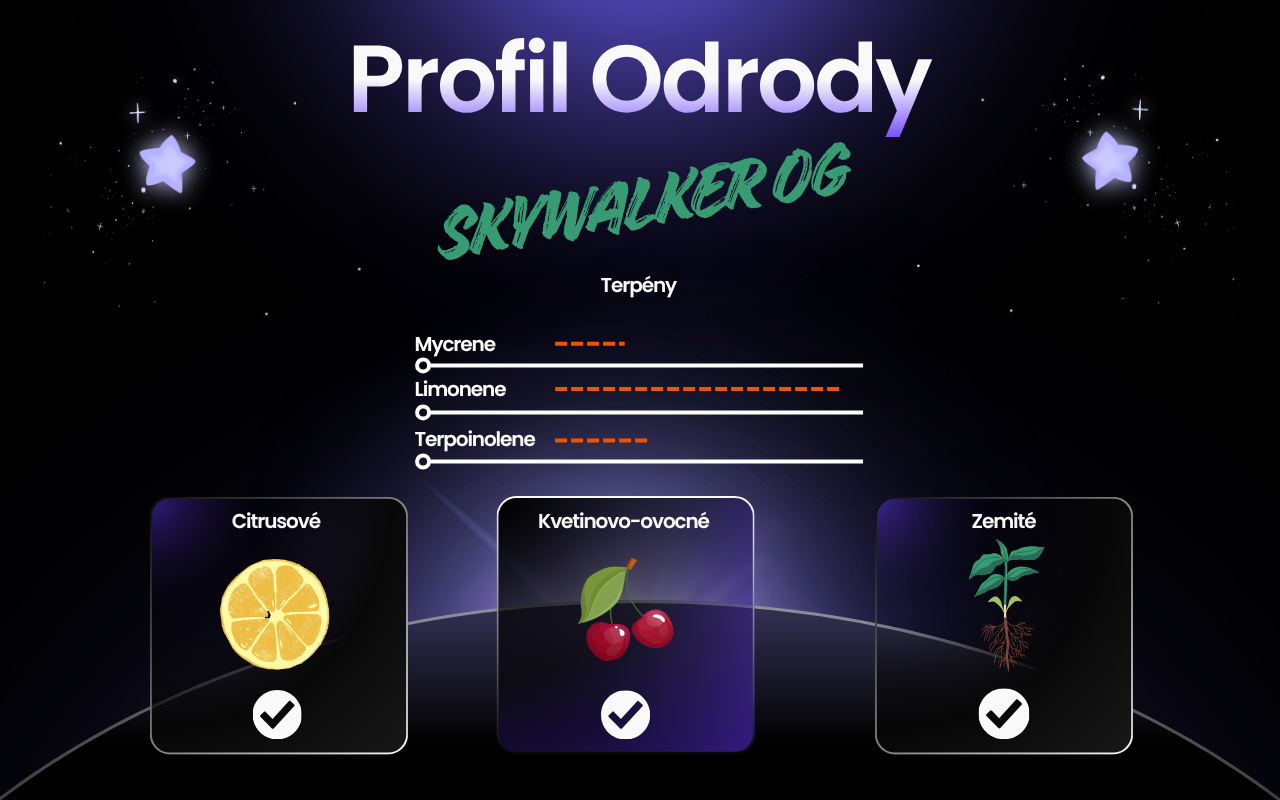 Purple and Black Gradient Pricelist Desktop Prototype